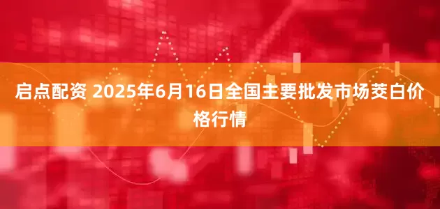启点配资 2025年6月16日全国主要批发市场茭白价格行情