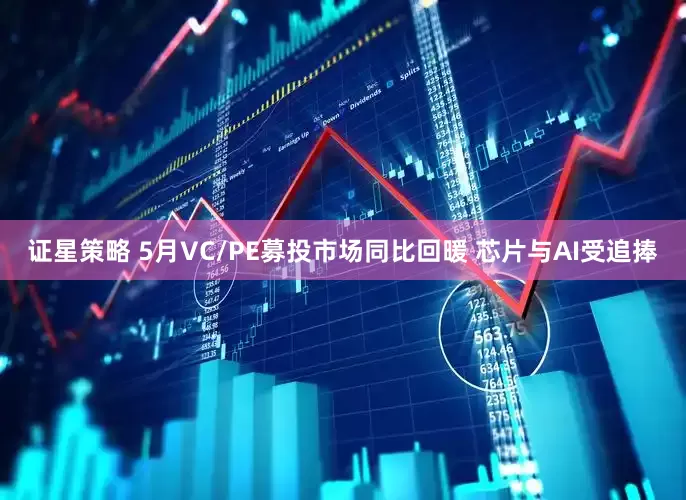 证星策略 5月VC/PE募投市场同比回暖 芯片与AI受追捧