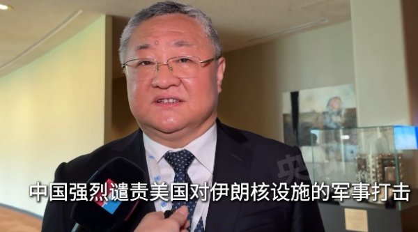 飞乐乐 外交部：中国是第一个在《联合国宪章》上签字的国家