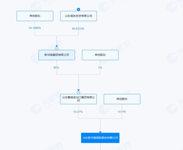 日天金策略 新华锦大股东资金占用困局待解，青岛啤酒的资产收购或难成“救命稻草”